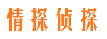 汶上捉小三公司